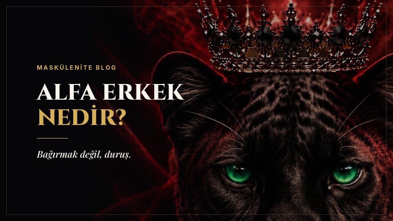 Alfa Erkek Nedir? Gerçek Alfa Erkeğin 10 Özelliği