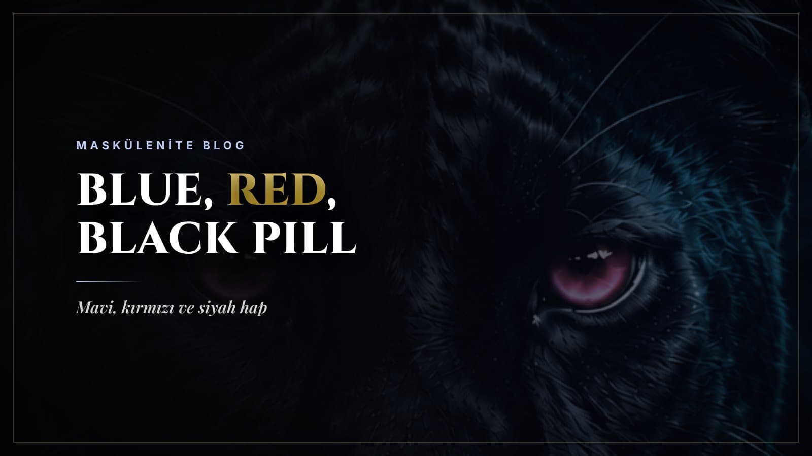 Blue Pill, Red Pill, Black Pill: Farkları Ne? Mavi Hap ve Kırmızı Hap