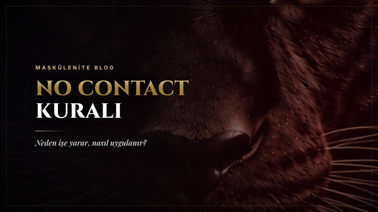 İletişimi Kesme Kuralı (No Contact): Neden İşe Yarar, Nasıl Uygulanır?
